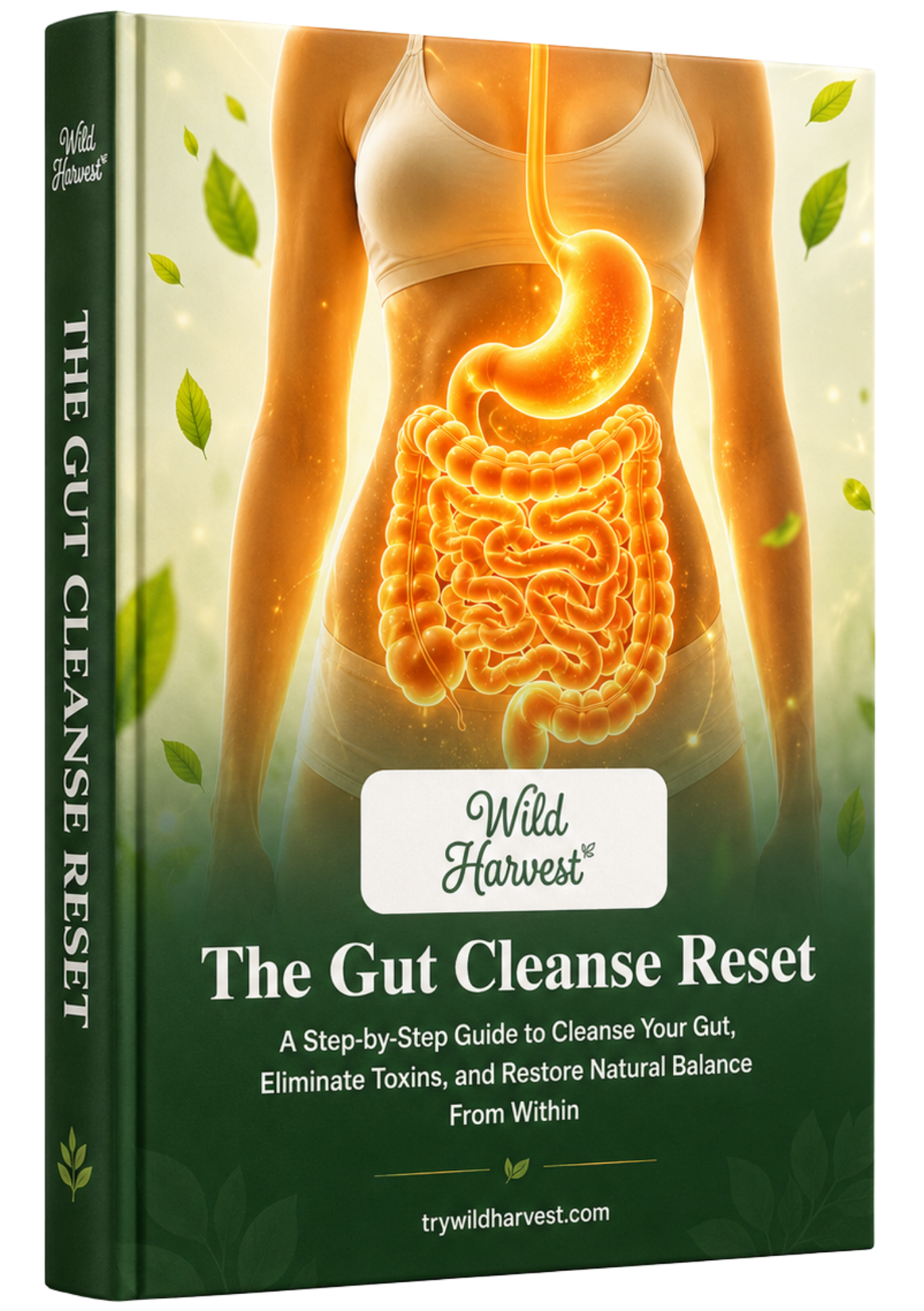 The Gut Cleanse Reset